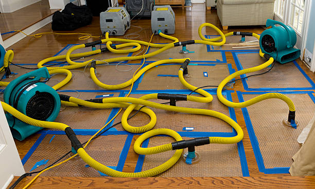 Professional Crawl Space Water Removal technician working in North Star, OH